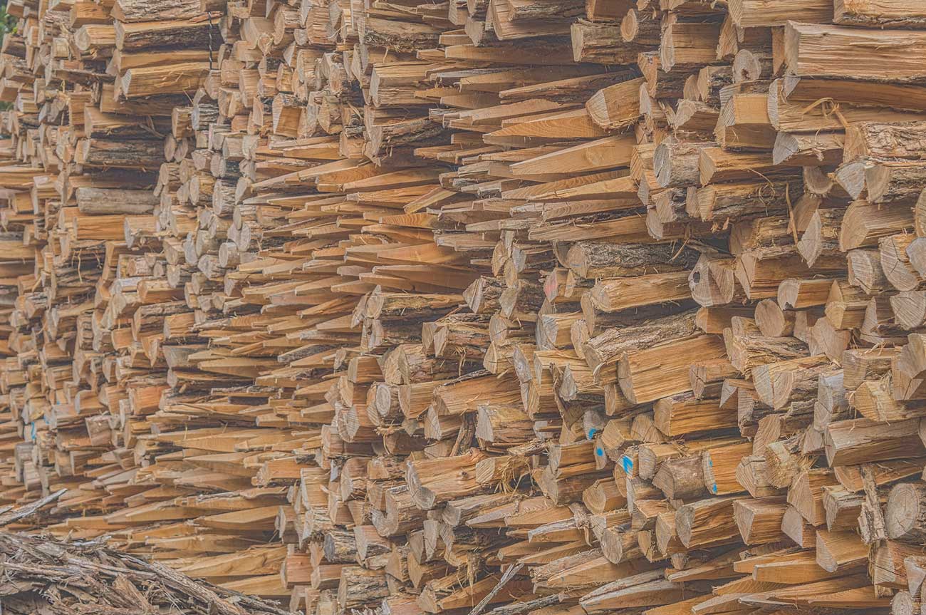 Poteaux en Accacia pour cloture vachére de l'entreprise Cloture Bois Boscher à MOYAUX 14590 Normandie France