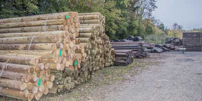 Poteaux pour cloture de l'entreprise Cloture Bois Boscher à MOYAUX 14590 Normandie France